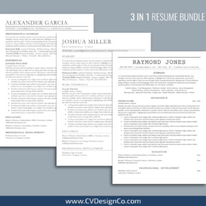 ATS Friendly Resume Templates for MS Word