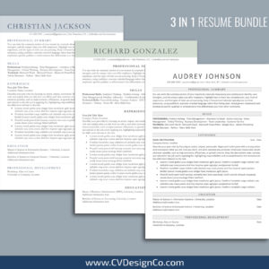 ATS Friendly Resume Templates for MS Word