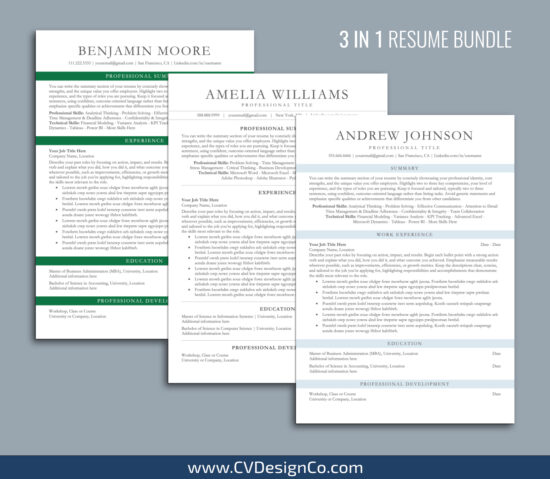 ATS Friendly Resume Templates for MS Word