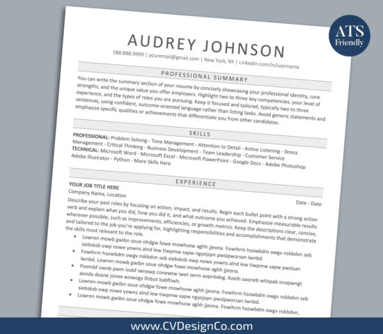 ATS Friendly Resume Templates for MS Word