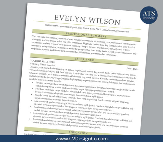 ATS Friendly Resume Templates for MS Word