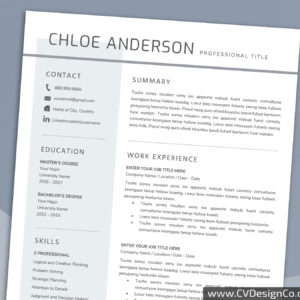 Professional and Simple Resume Templates for MS Word Instant Download