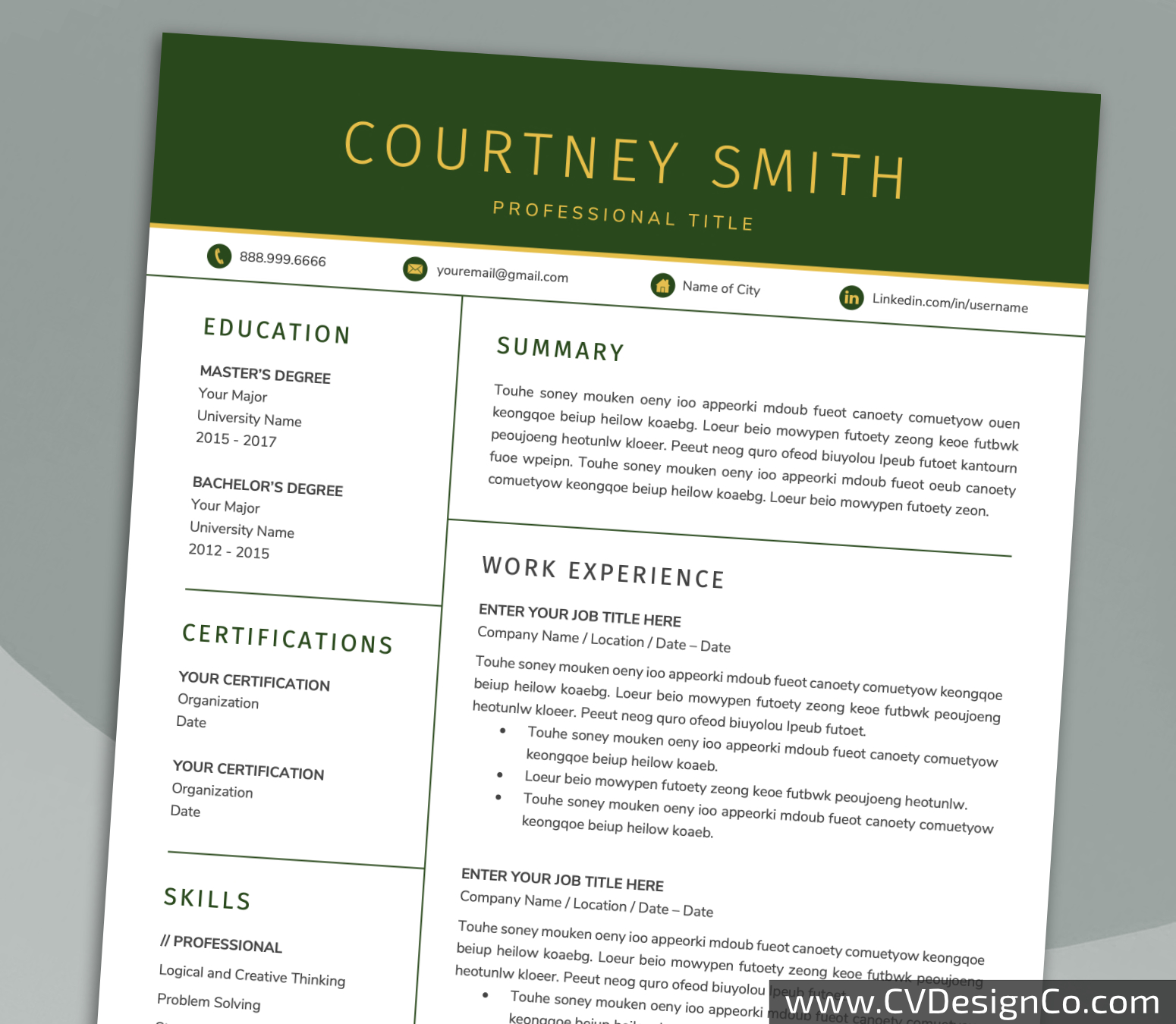 www.cvdesignco.com-Professional Resume Templates for MS Word ima Professional and Simple Resume Templates for MS Word Instant Download