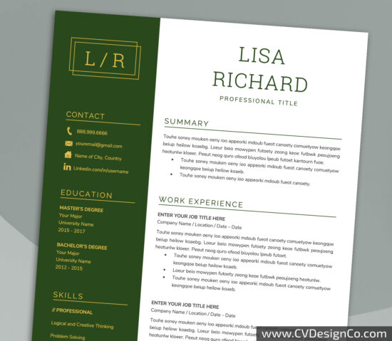 Professional and Simple Resume Templates for MS Word Instant Download