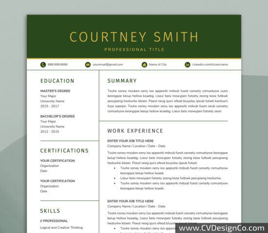 Professional and Simple Resume Templates for MS Word Instant Download