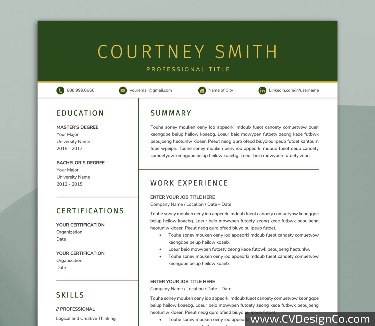 Professional and Simple Resume Templates for MS Word Instant Download