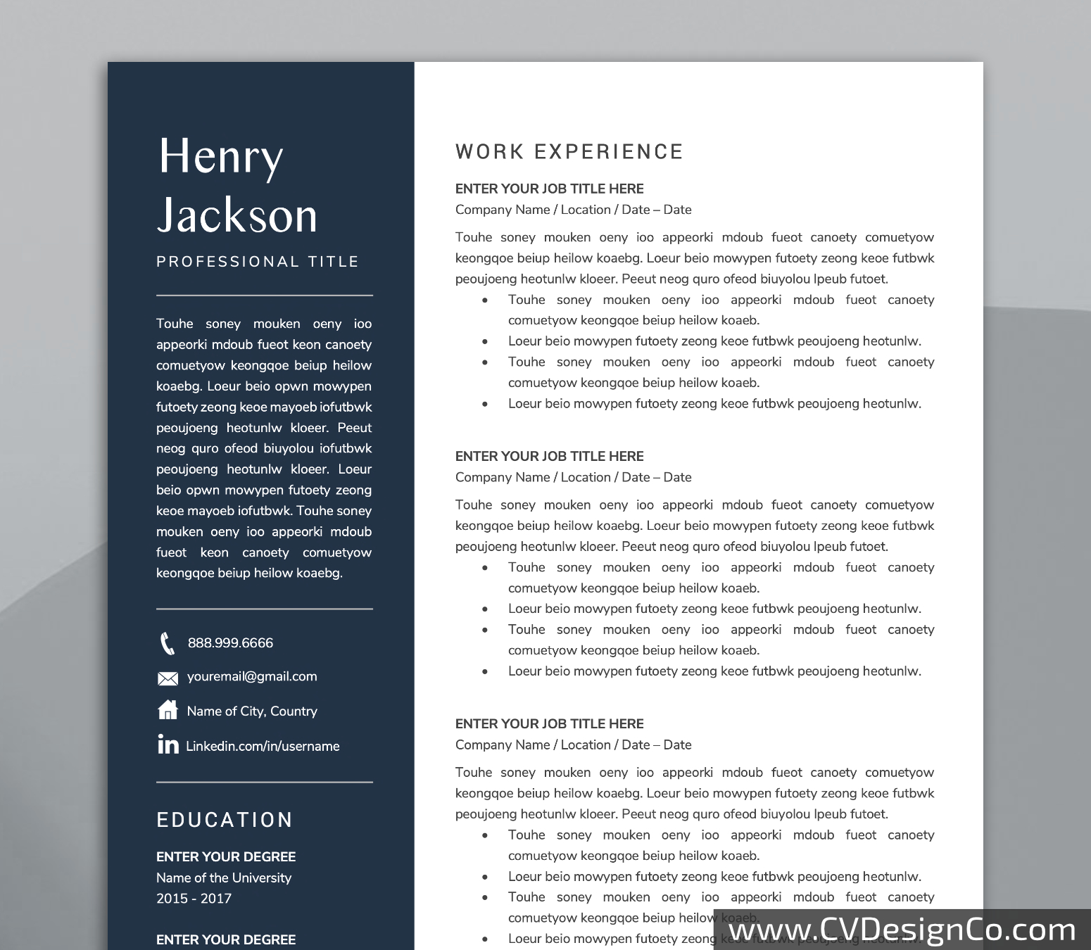 Professional and Simple Resume Templates for MS Word Instant Download
