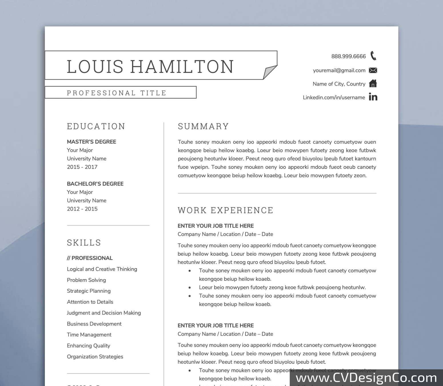 Professional and Simple Resume Templates for MS Word Instant Download