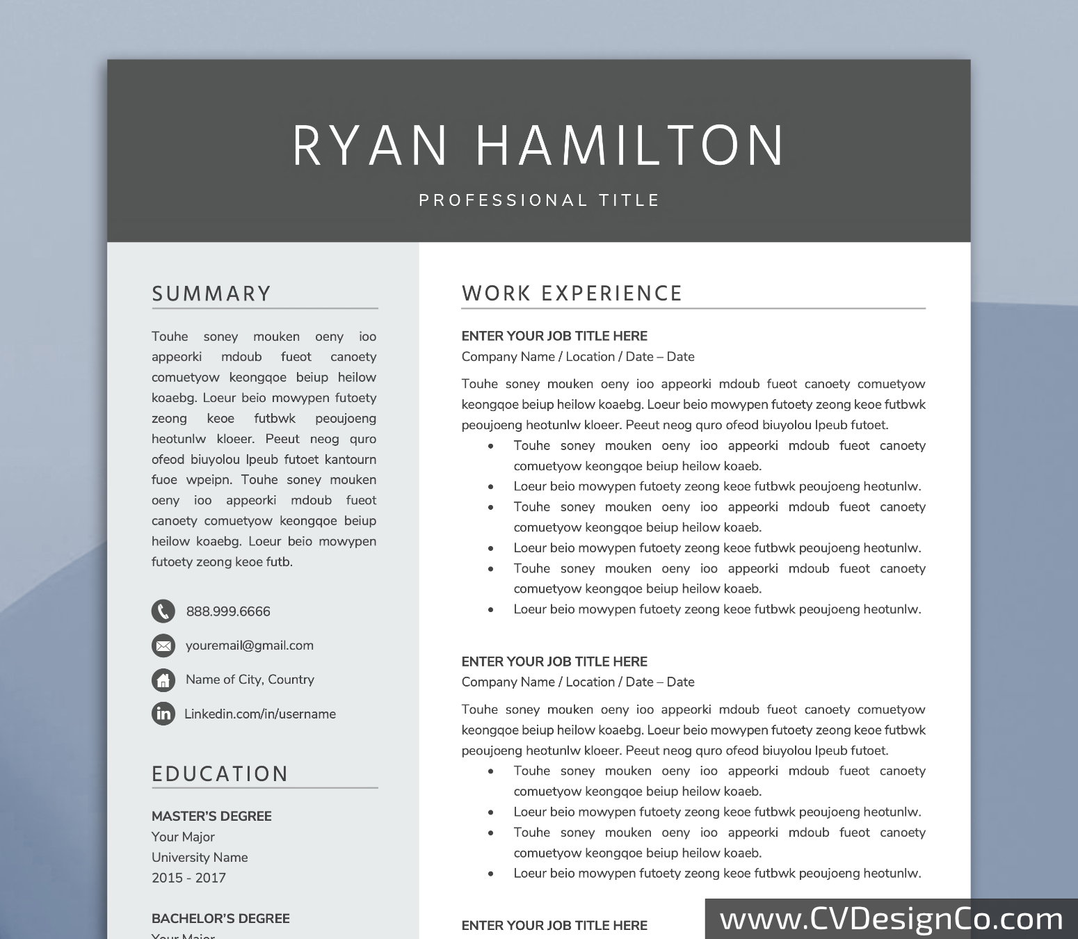 Professional and Simple Resume Templates for MS Word Instant Download